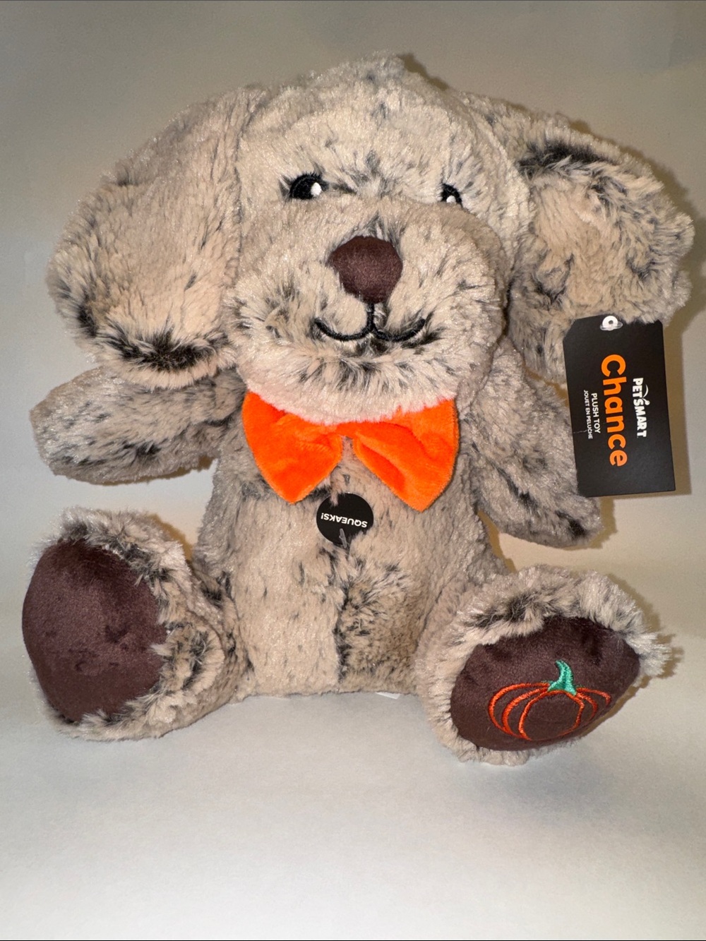 Petsmart Halloween Plush Dog Toy - Squeaks
